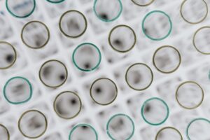 Predavanje “Biomimetic molecular recognition platforms applied in Environmental and Biomedical Sciences”